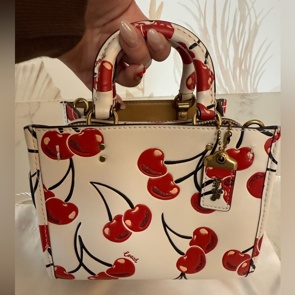 🍒 Coach Cherry Rogue 17 EUC